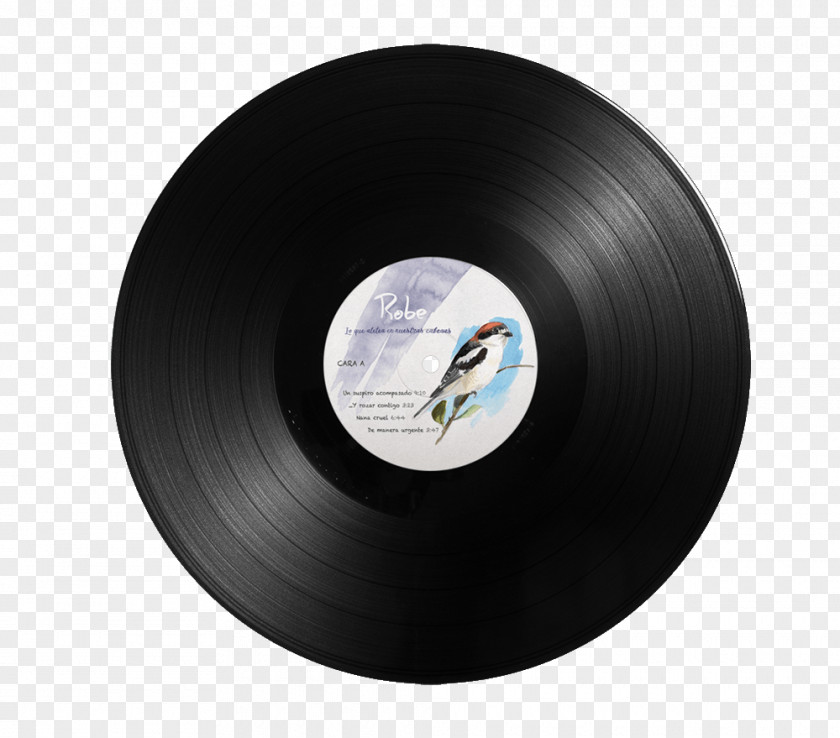 Vinilo Phonograph Record LP Press Compact Disc Wallpaper PNG