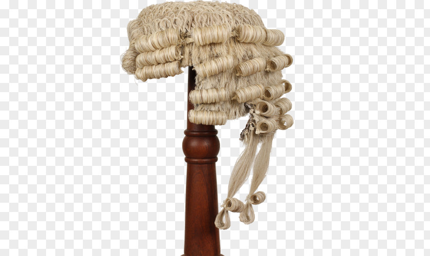 Wig Essential VCE Legal Studies Units 1 And 2 Second Edition Toolkit Court Dress Lawyer Barrister PNG