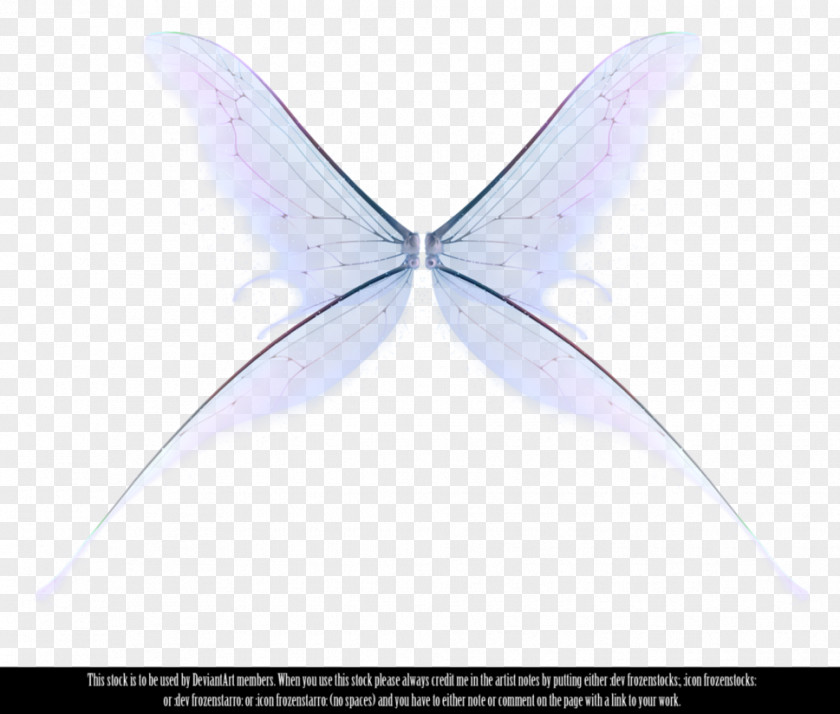Wings Fairy Butterfly Wing PNG