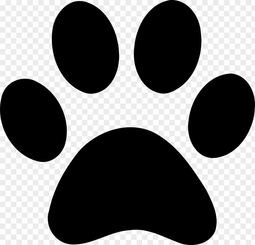 Bear Claw Clipart Paw Cat Clip Art PNG