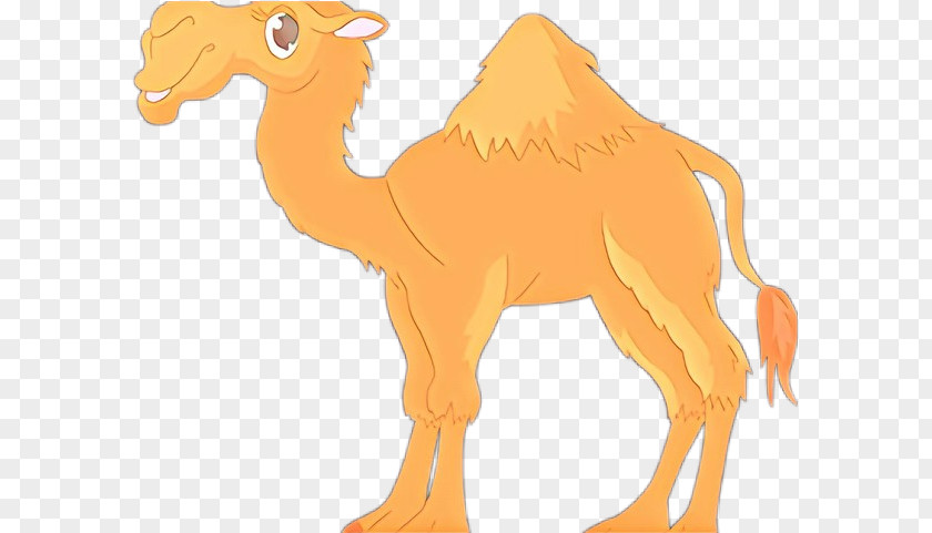 Camel Camelid Animal Figure Arabian Wildlife PNG