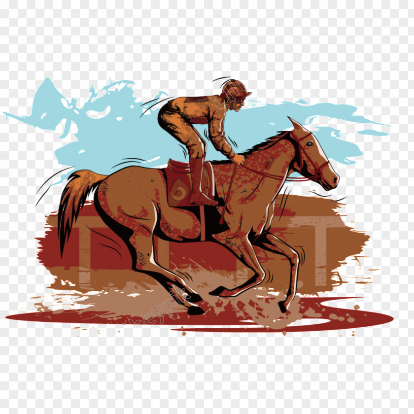 Horseback Watercolor Vector Graphics Illustration Stock Photography Image Royalty-free PNG