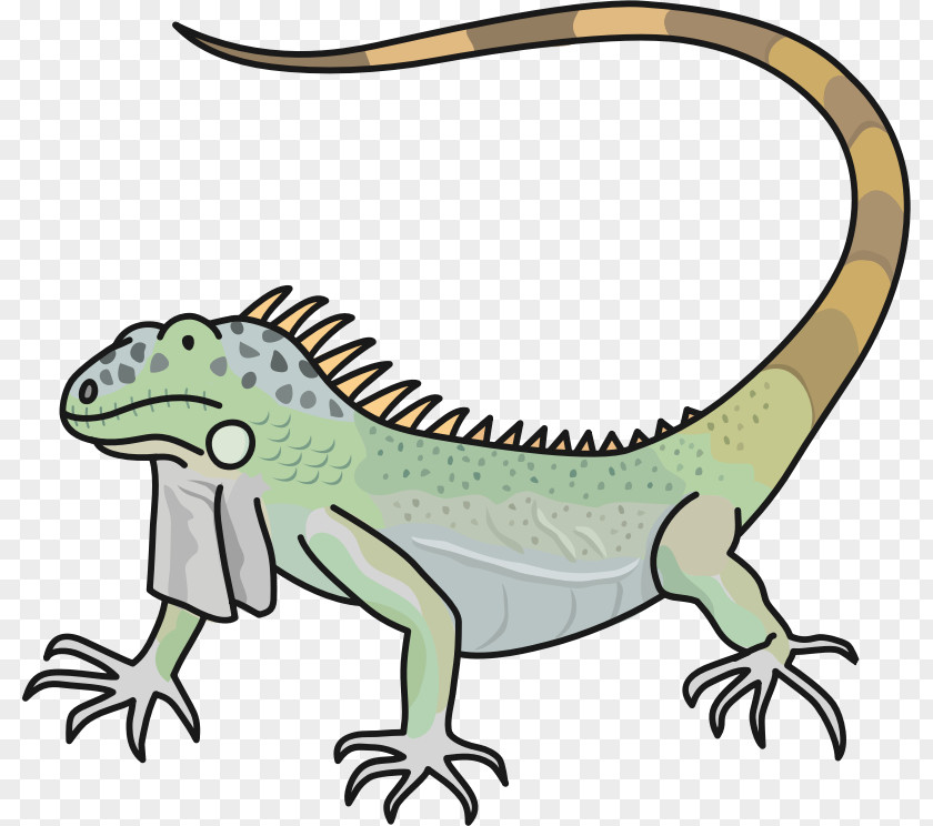 Lizard Green Iguana Public Domain Copyright-free Clip Art PNG