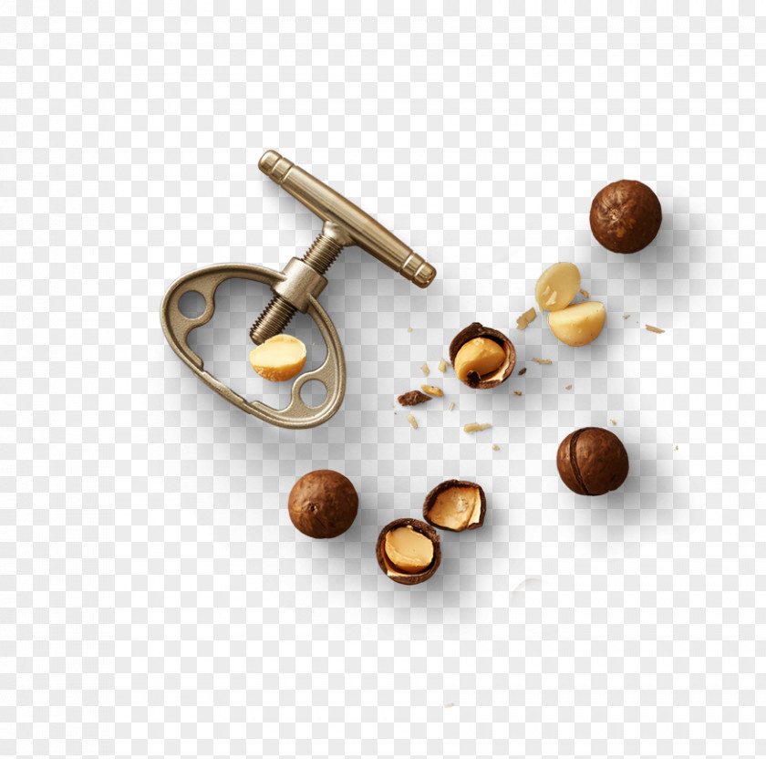 Macadamia Nuts Food Nut Capelli PNG