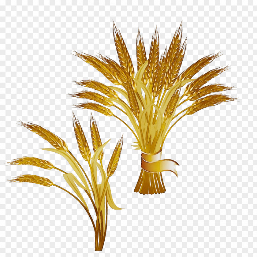 Palm Trees PNG