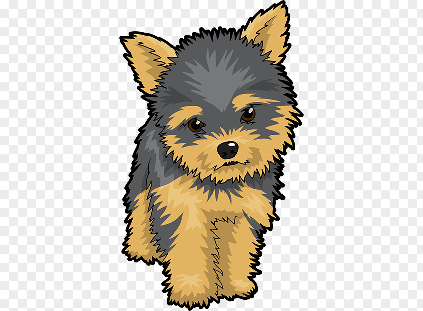 Puppy Yorkshire Terrier Cairn Clip Art PNG