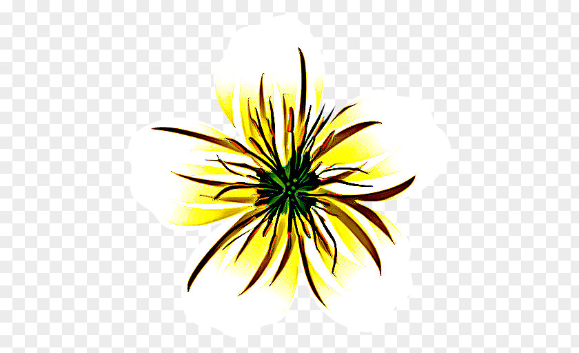Sunflower Petal PNG