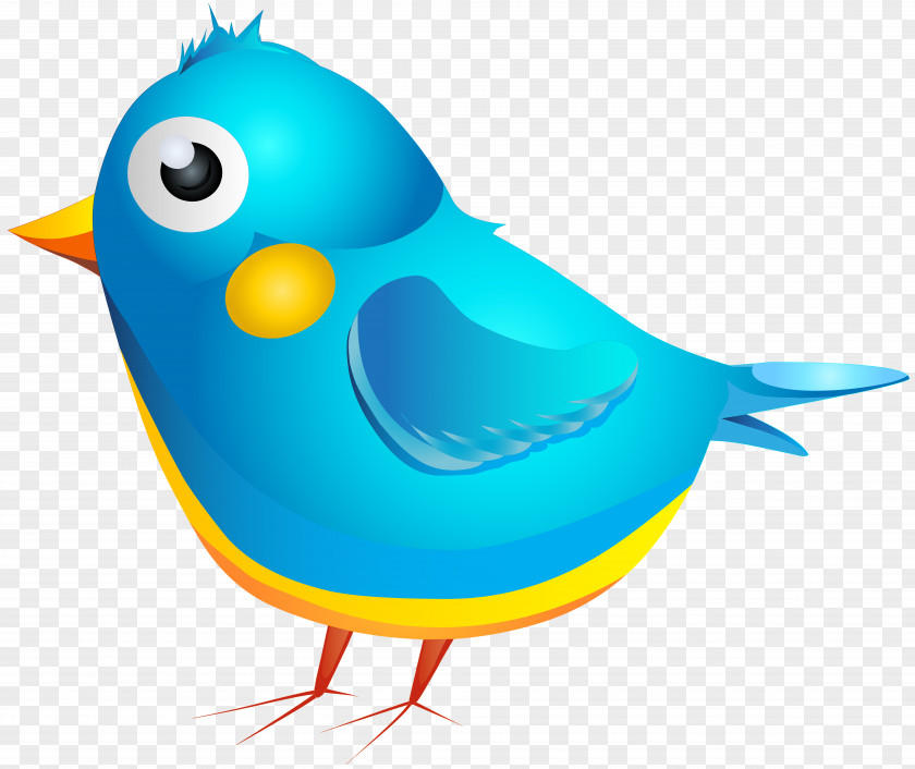 Birds Bird Cartoon Clip Art PNG