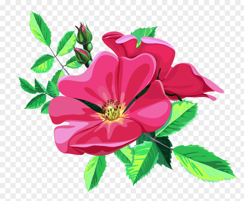 Flower Ornament Garden Roses Clip Art PNG