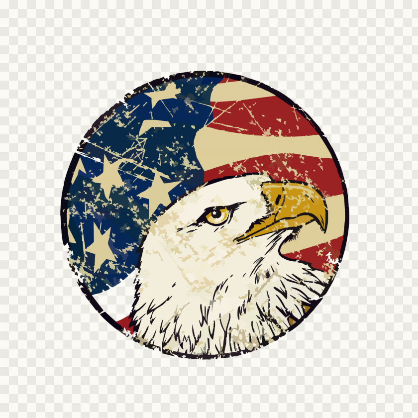 Hand-painted American Flag Eagle Decorative Background Of The United States Bald PNG
