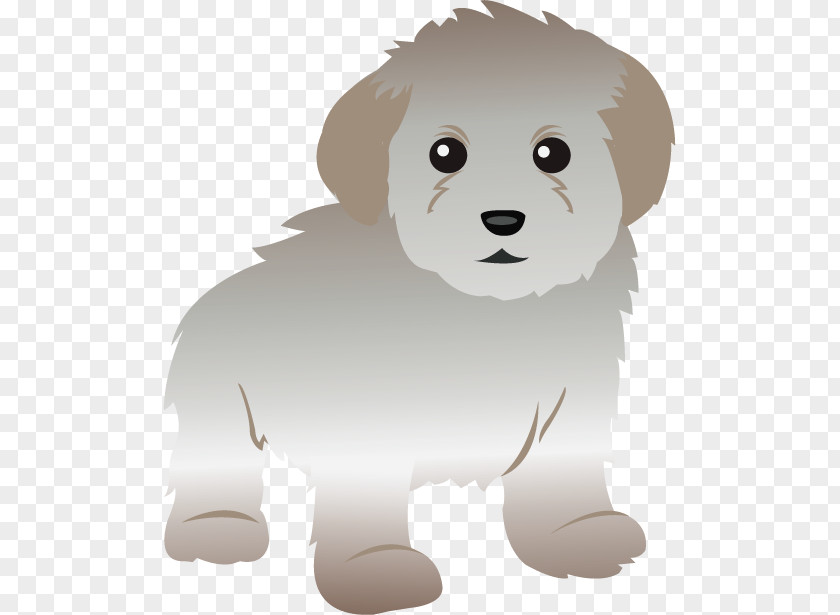 Maltese Cliparts Toy Poodle Dog Standard Miniature PNG