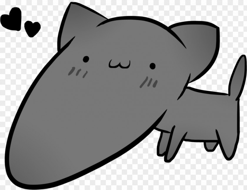 Beautifully Chin Cat Whiskers Mammal Color PNG