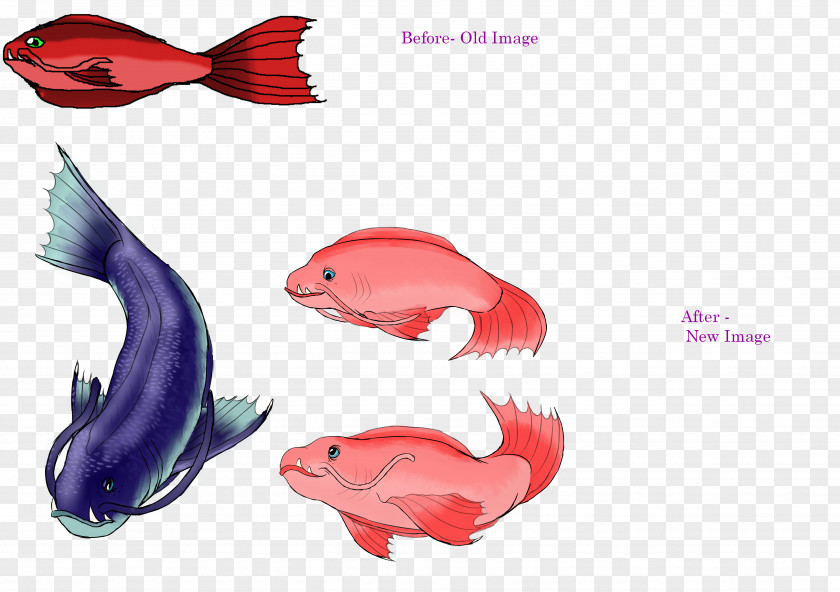 Benthic Animals Marine Mammal Pink M Fish PNG