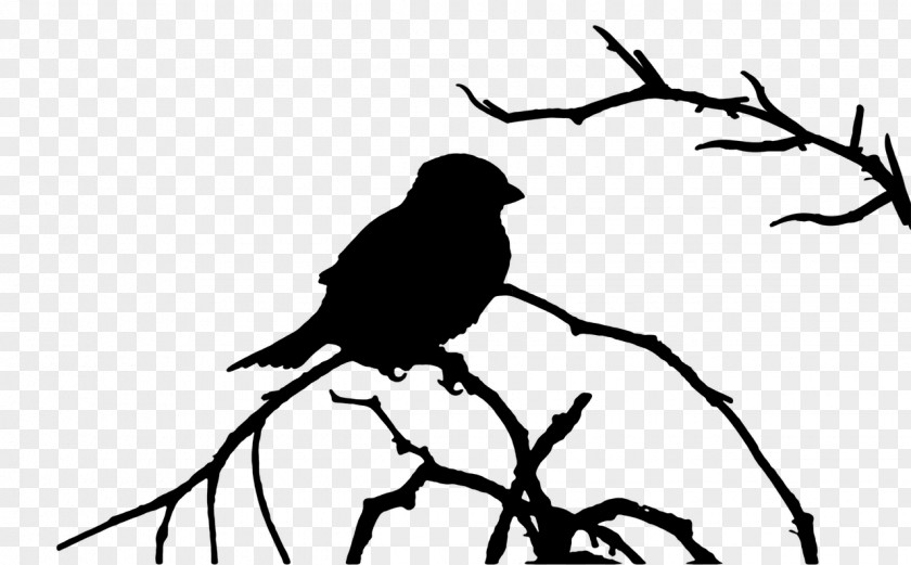 Bird American Crow Silhouette Clip Art PNG