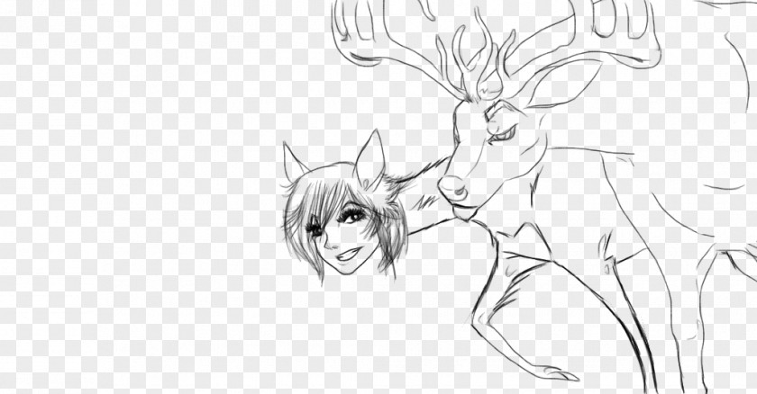 Deer Drawing Line Art Antler Sketch PNG