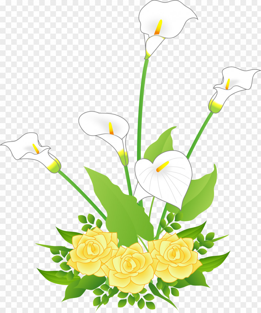 Flower Floral Design Cut Flowers Bouquet Plant Stem PNG