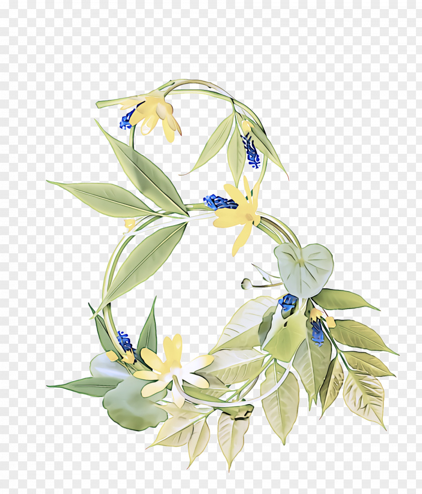 Flower Plant Iris Wildflower Gentiana PNG