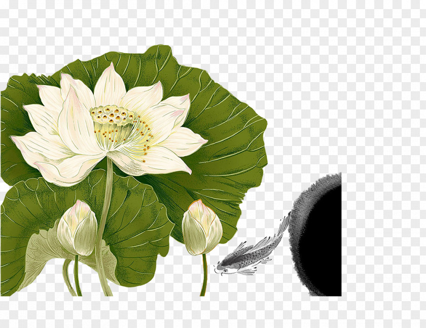 Painted White Lotus Nelumbo Nucifera Chinoiserie Ink Wash Painting Poster PNG