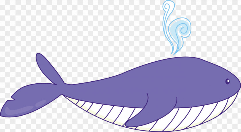 Vector Cartoon Whale Euclidean Drawing PNG
