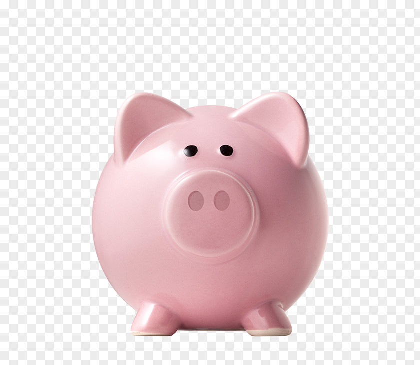 Bank Piggy Stock Photography Saving PNG