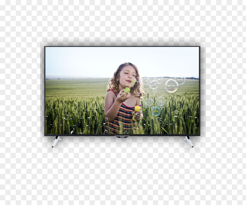 Fernsehempfang Stock Photography Television Set High-definition PNG