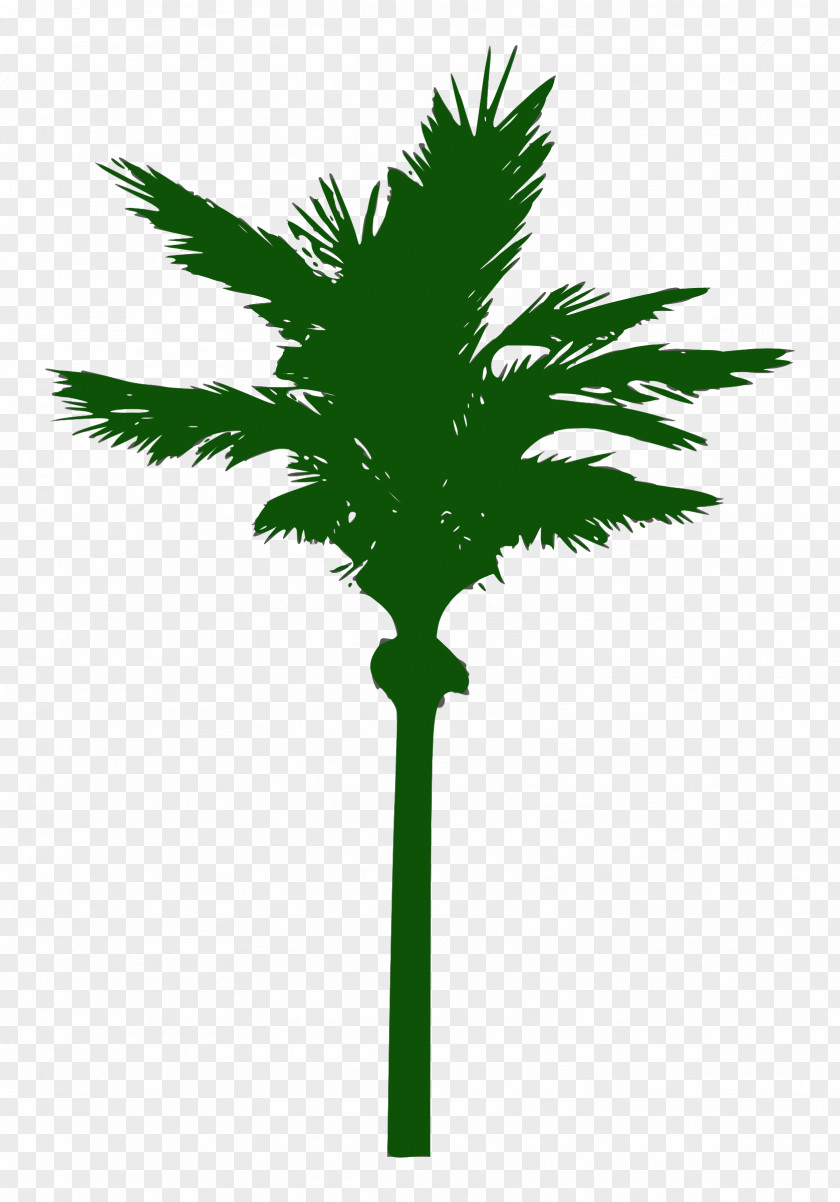 Palm Tree Clip Art PNG