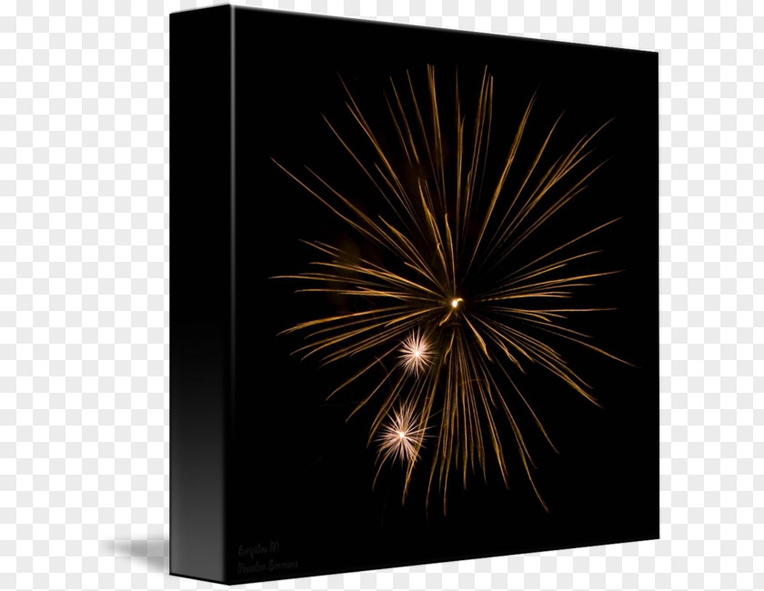 Paper Firework Stock Photography Fireworks PNG