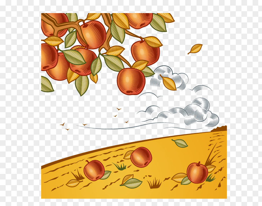 Vector Red Apple Harvest Cartoon Clip Art PNG