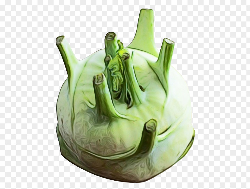 Wild Cabbage Kohlrabi Plant Vegetable PNG