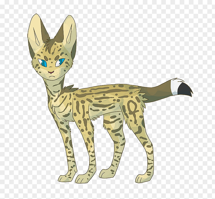 Cat Whiskers Wildcat Tabby Terrestrial Animal PNG