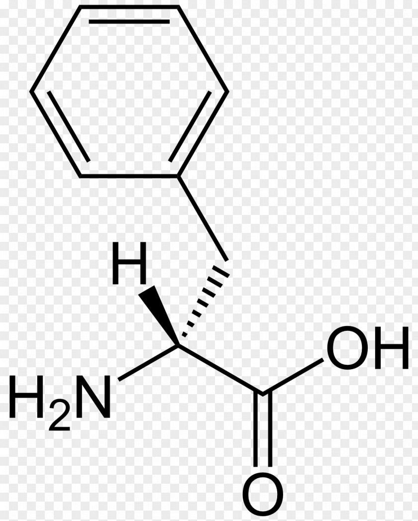 D Phenylalanine Amino Acid Leucine Tyrosine Methionine PNG