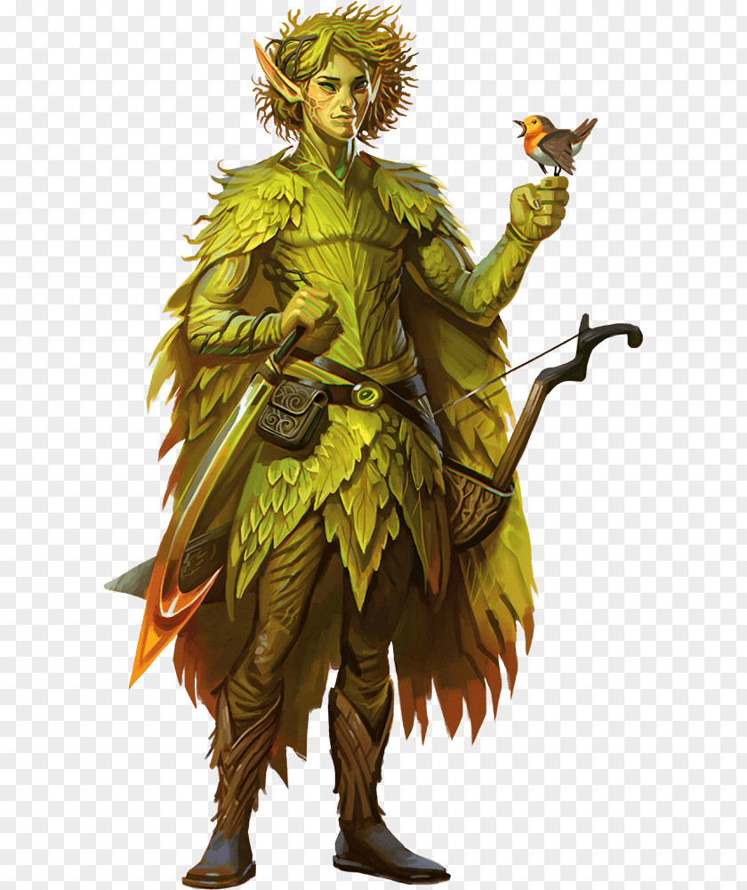 Dnd Elf Dungeons & Dragons Pathfinder Roleplaying Game Eladrin Player Character PNG