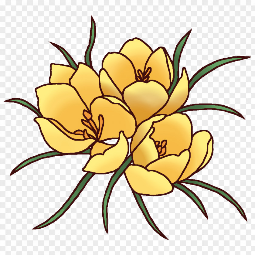 Floral Design PNG