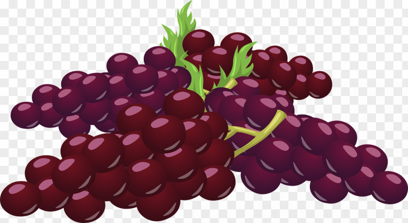 Grape Common Vine Clip Art Vector Graphics Openclipart PNG