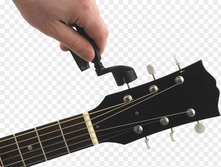 Guitar Gibson Blueshawk Saitenkurbel String Electric PNG