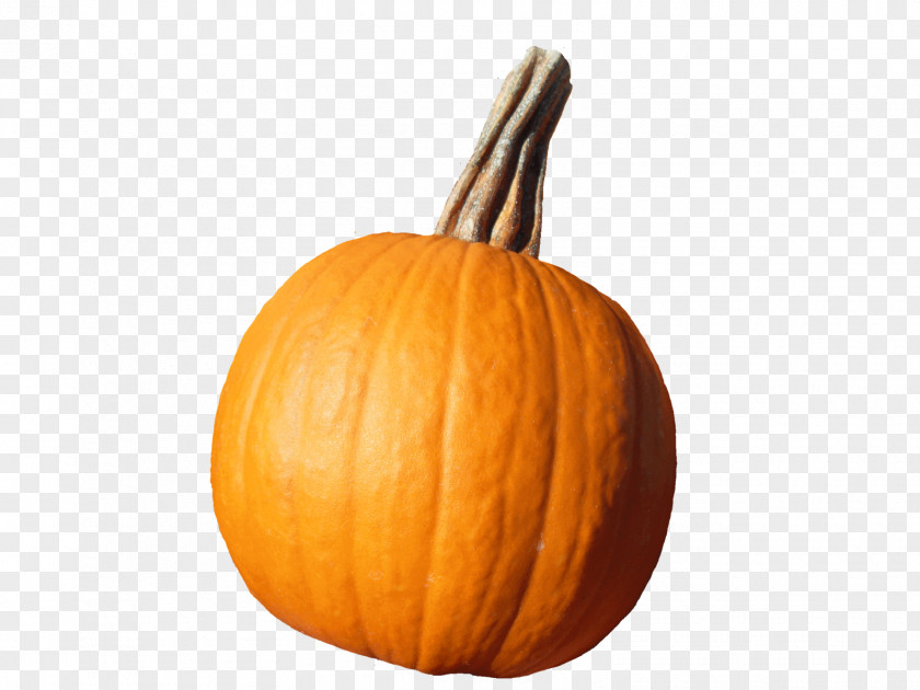 Pumpkin Calabaza Squash Vegetable Gourd PNG