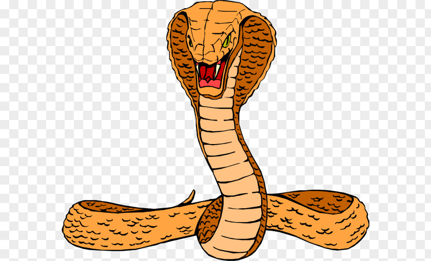 Realistic Snake Cliparts King Cobra Free Content Clip Art PNG