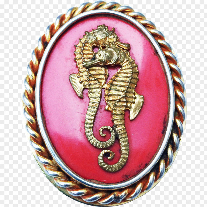 Seahorse Jewellery PNG