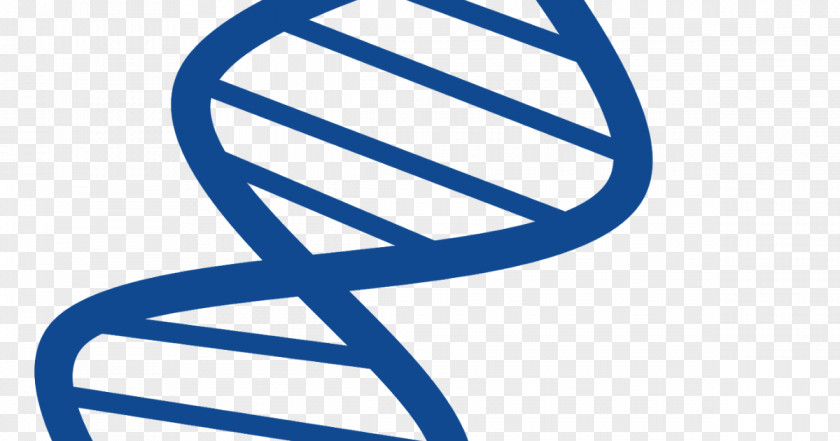 Vector Nucleic Acid Double Helix DNA Genetics Clip Art PNG