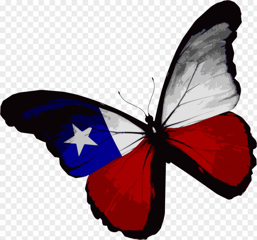 American Butterfly Flag Of Texas The United States PNG