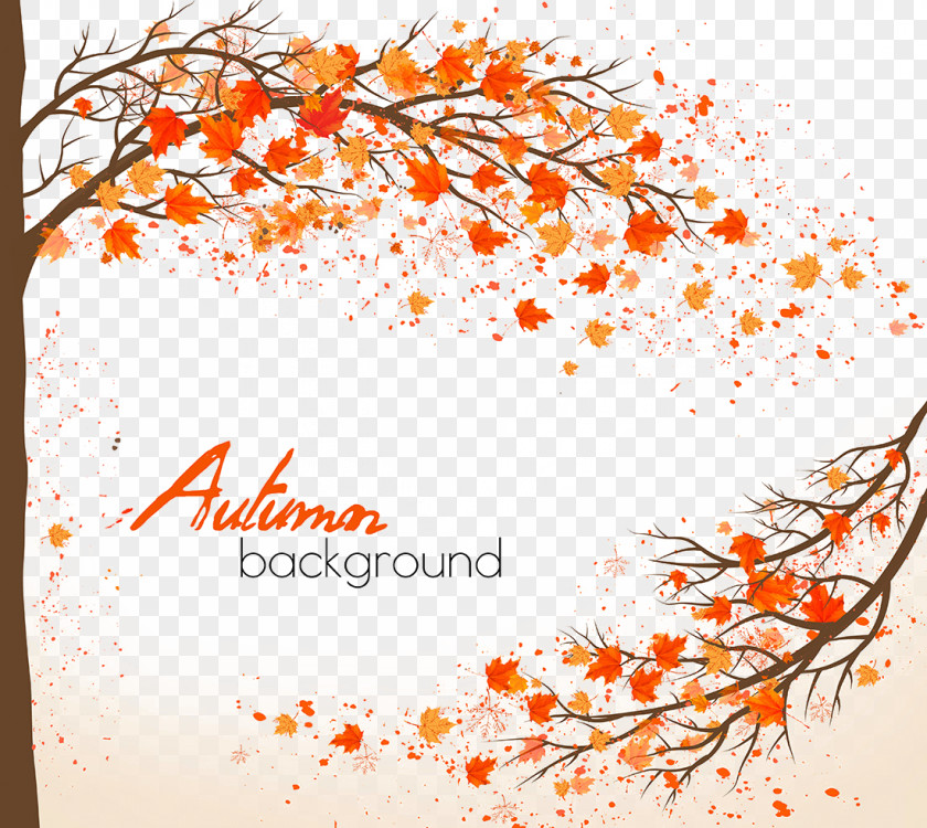 Beautiful Autumn Background Material Maple Leaf PNG