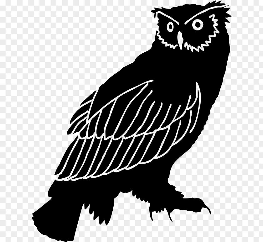 Owls Clipart Owl Silhouette Drawing Clip Art PNG