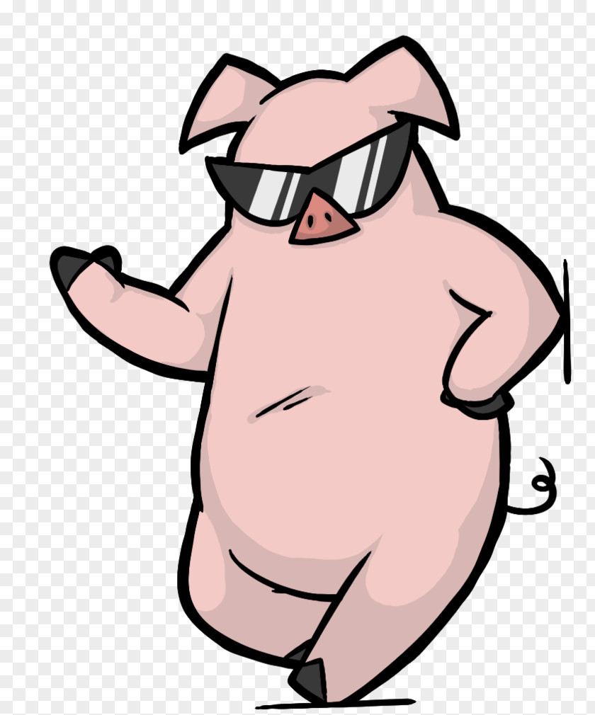 Pig T-shirt Drawing Cartoon PNG