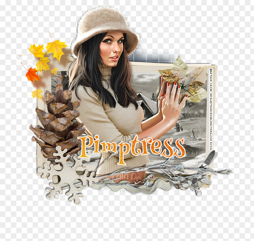 Pine Branches Creative Brown Hair Product PNG