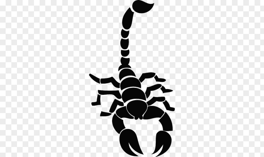 Scorpion Tattoo Artist Decal Drawing PNG