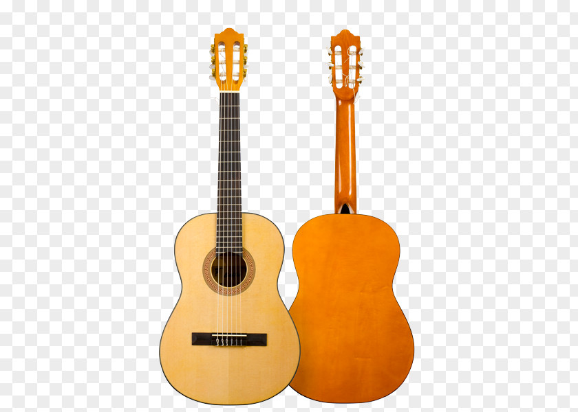 Acoustic Guitar Tiple Ukulele Cuatro Cavaquinho PNG