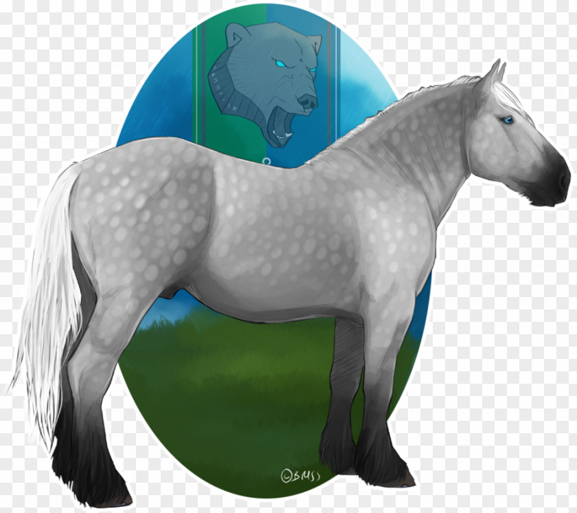 Certificate Of Shading Mustang Stallion Pony Mare Pack Animal PNG