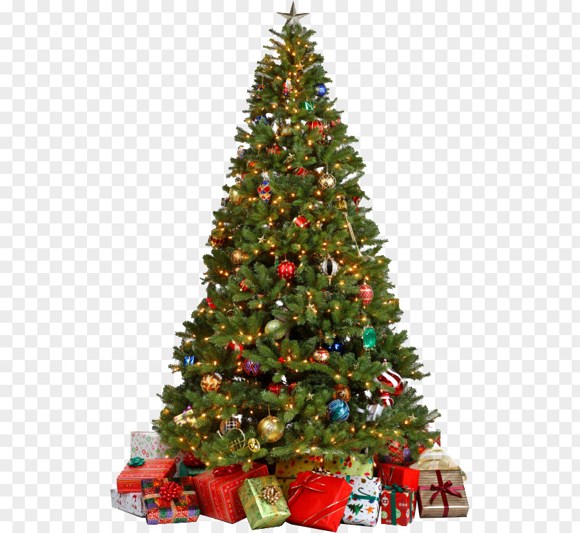 Christmas Day Tree Gift Ornament PNG