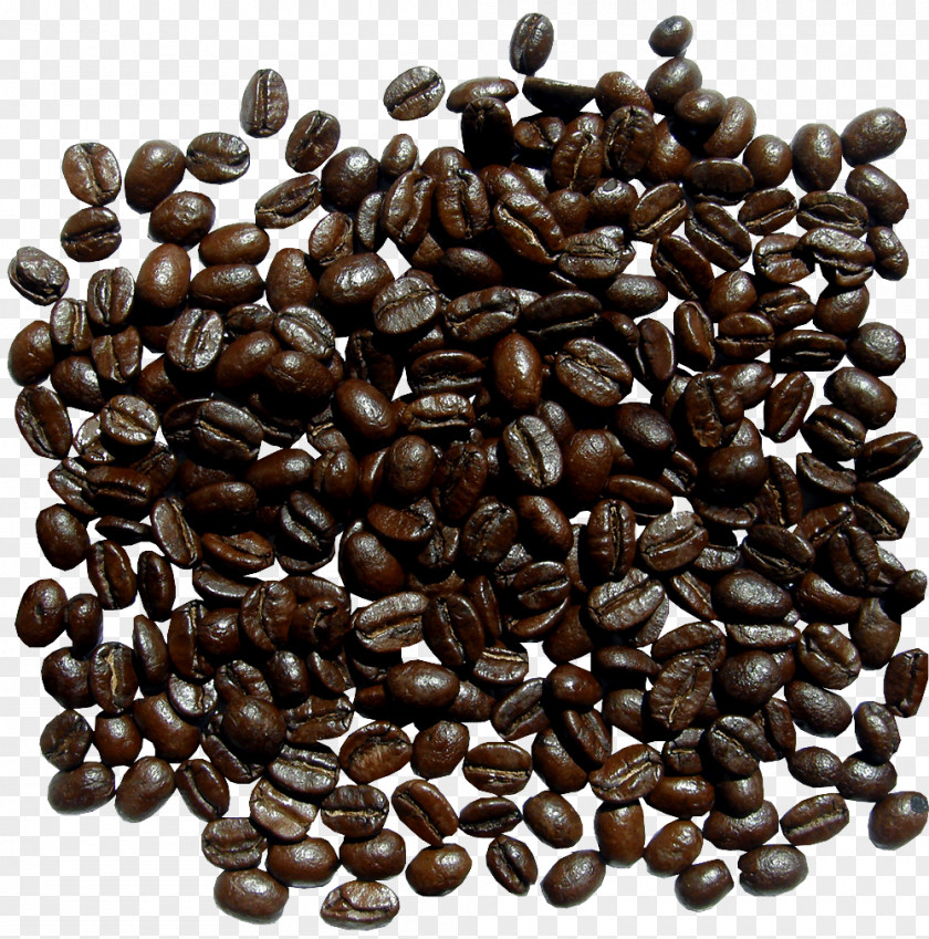 Coffee Beans Jamaican Blue Mountain Bean Cereal PNG