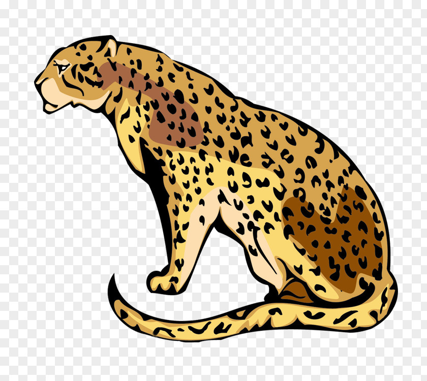 Leopard Tiger Cartoon PNG